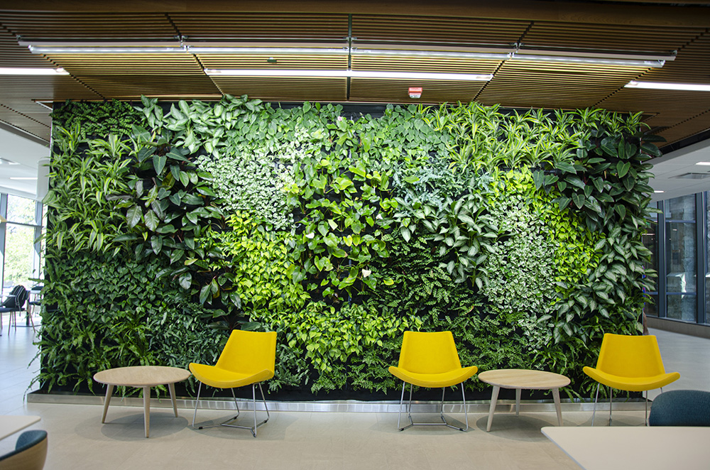 A living green wall inside the Fernandez Center